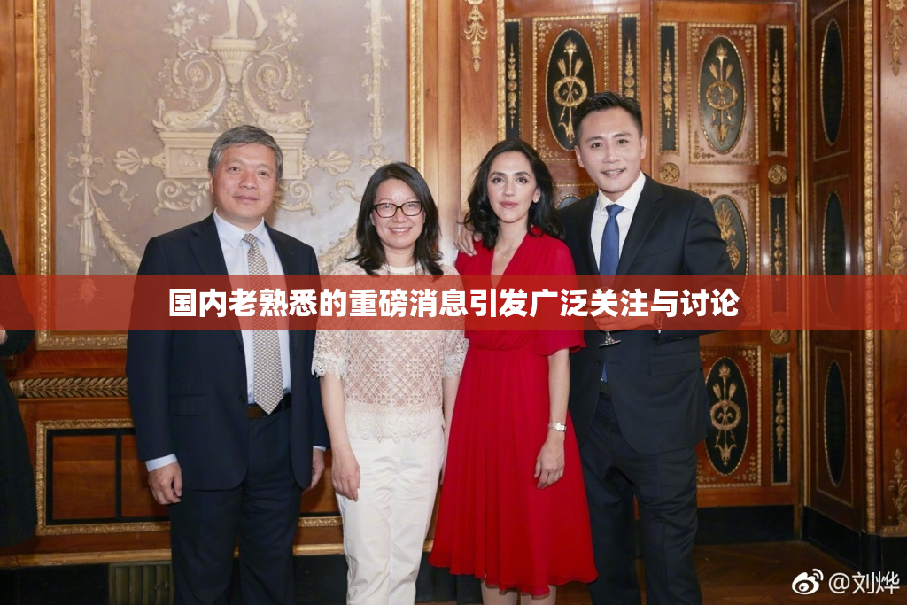国内老熟悉的重磅消息引发广泛关注与讨论