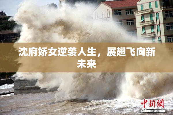 沈府娇女逆袭人生，展翅飞向新未来