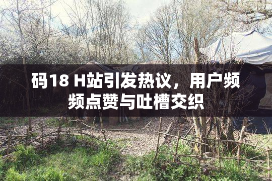 码18 H站引发热议，用户频频点赞与吐槽交织