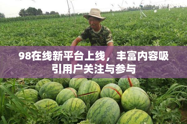 98在线新平台上线，丰富内容吸引用户关注与参与