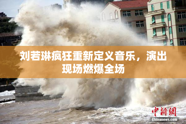 刘若琳疯狂重新定义音乐，演出现场燃爆全场