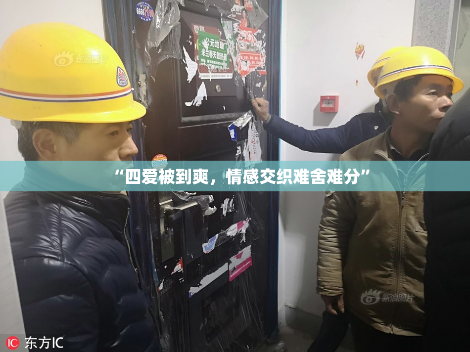 “四爱被到爽，情感交织难舍难分”