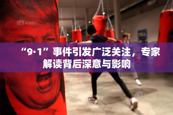 “9·1”事件引发广泛关注，专家解读背后深意与影响
