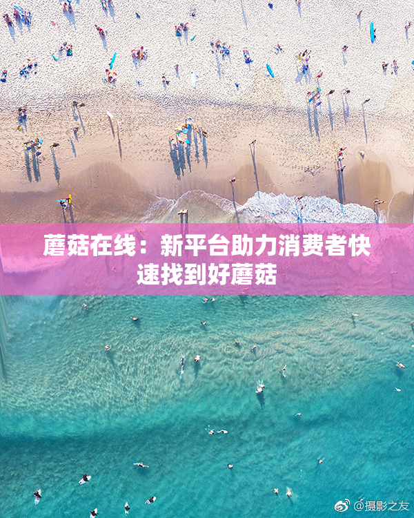 蘑菇在线：新平台助力消费者快速找到好蘑菇