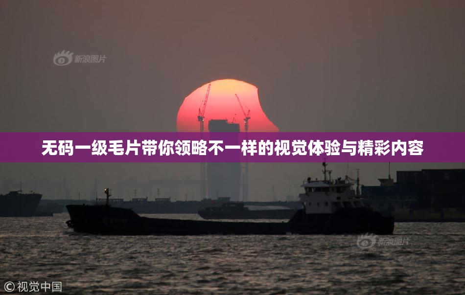 无码一级毛片带你领略不一样的视觉体验与精彩内容