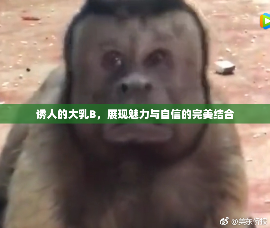 诱人的大乳B，展现魅力与自信的完美结合