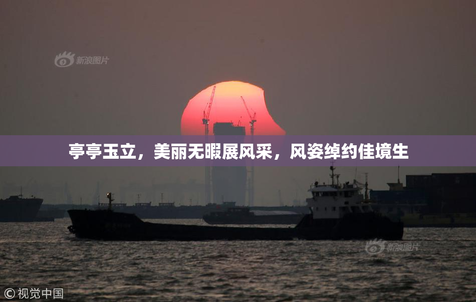 亭亭玉立，美丽无暇展风采，风姿绰约佳境生