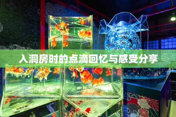 入洞房时的点滴回忆与感受分享