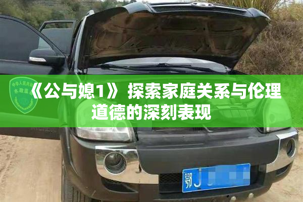 《公与媳1》 探索家庭关系与伦理道德的深刻表现