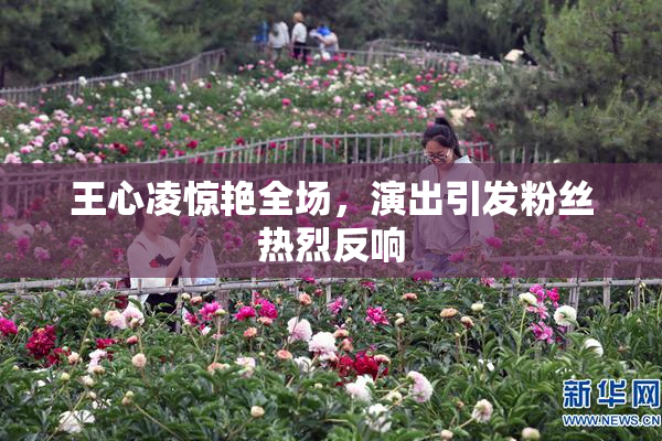 王心凌惊艳全场，演出引发粉丝热烈反响