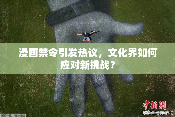 漫画禁令引发热议，文化界如何应对新挑战？
