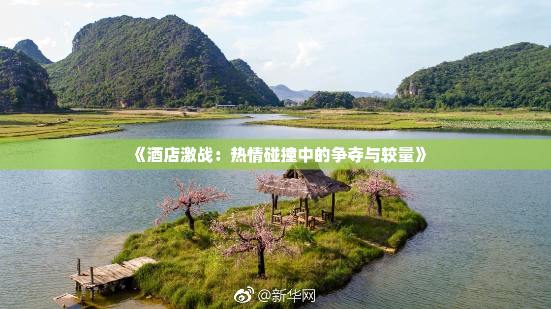 《酒店激战：热情碰撞中的争夺与较量》