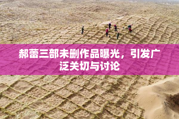 郝蕾三部未删作品曝光，引发广泛关切与讨论