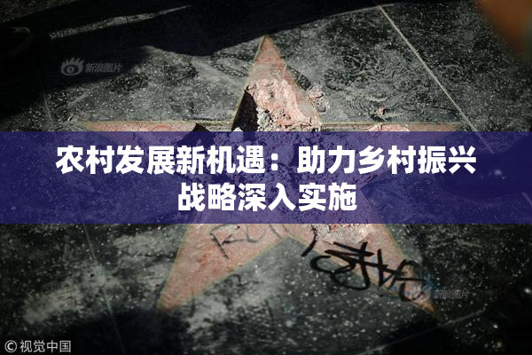农村发展新机遇：助力乡村振兴战略深入实施