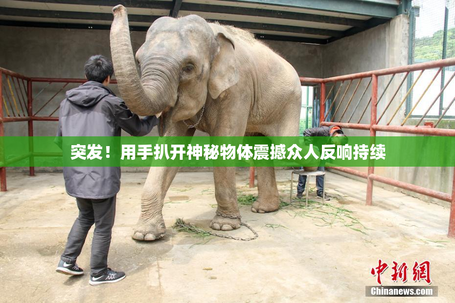 突发！用手扒开神秘物体震撼众人反响持续