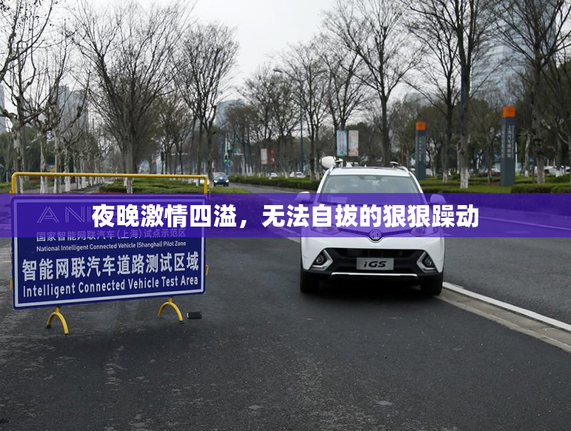 夜晚激情四溢，无法自拔的狠狠躁动