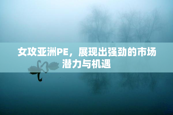 女攻亚洲PE，展现出强劲的市场潜力与机遇