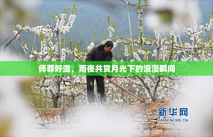 师尊好湿，雨夜共赏月光下的浪漫瞬间
