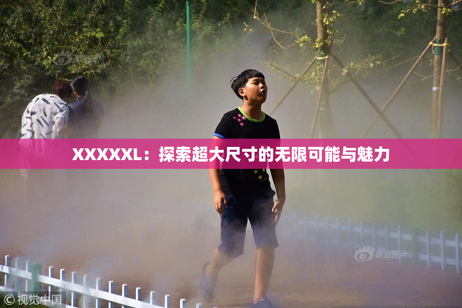 XXXXXL：探索超大尺寸的无限可能与魅力