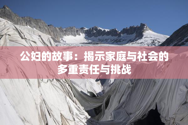 公妇的故事：揭示家庭与社会的多重责任与挑战