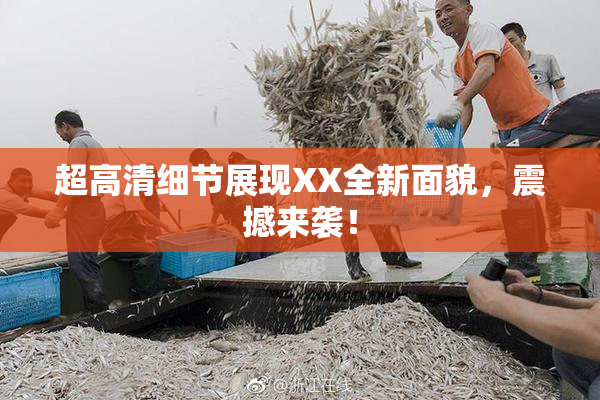 超高清细节展现XX全新面貌，震撼来袭！