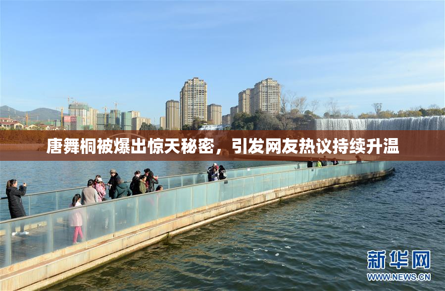 唐舞桐被爆出惊天秘密，引发网友热议持续升温