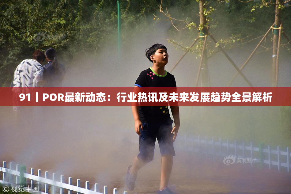 91丨POR最新动态：行业热讯及未来发展趋势全景解析