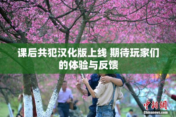 课后共犯汉化版上线 期待玩家们的体验与反馈