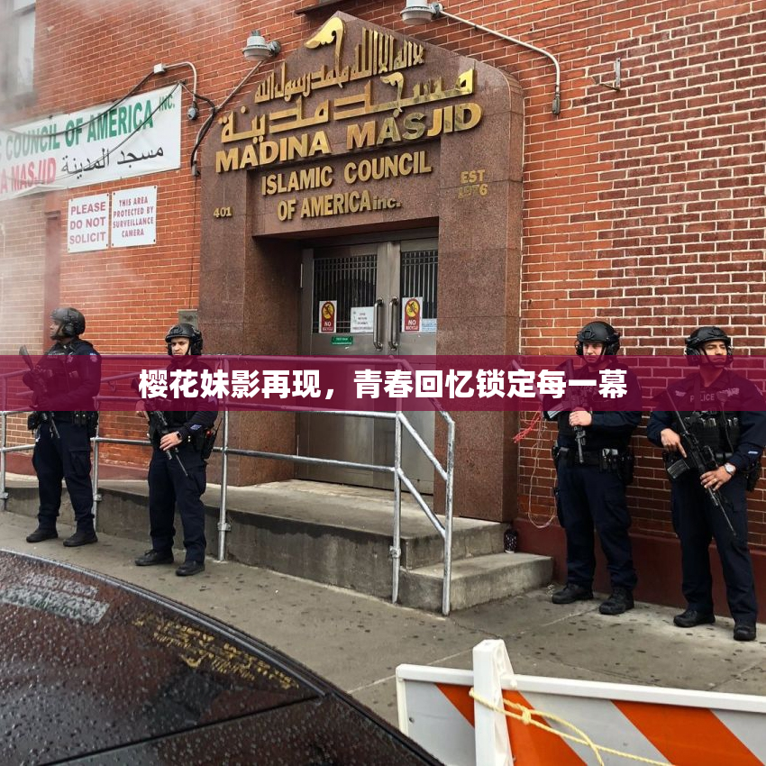 樱花妹影再现，青春回忆锁定每一幕