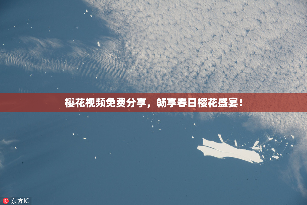 樱花视频免费分享，畅享春日樱花盛宴！