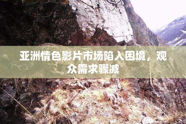 亚洲情色影片市场陷入困境，观众需求骤减