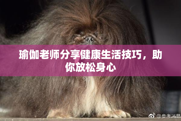 瑜伽老师分享健康生活技巧，助你放松身心