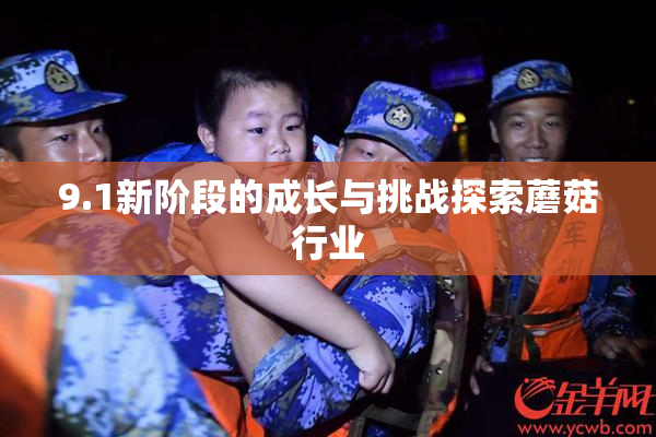 9.1新阶段的成长与挑战探索蘑菇行业