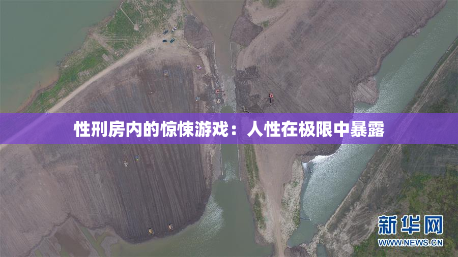 性刑房内的惊悚游戏：人性在极限中暴露