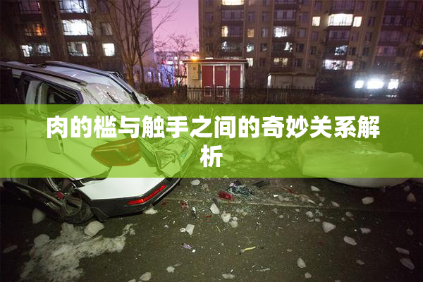 肉的槛与触手之间的奇妙关系解析