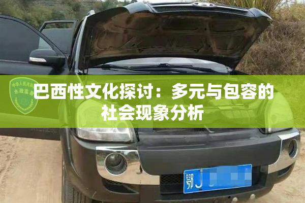 巴西性文化探讨：多元与包容的社会现象分析