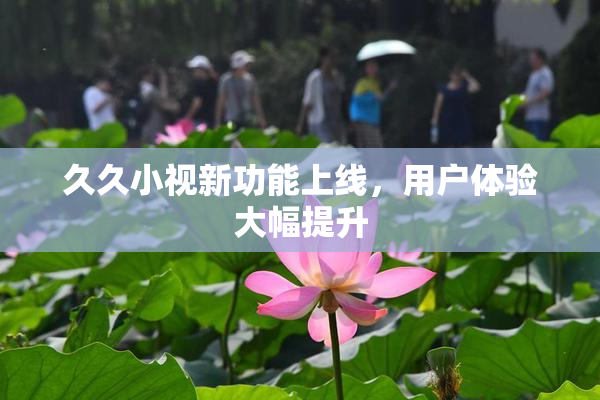 久久小视新功能上线，用户体验大幅提升