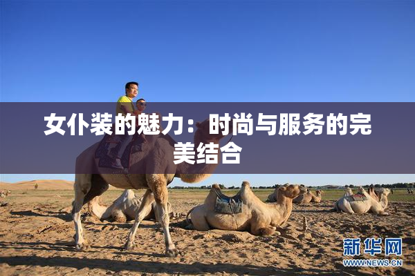 女仆装的魅力：时尚与服务的完美结合