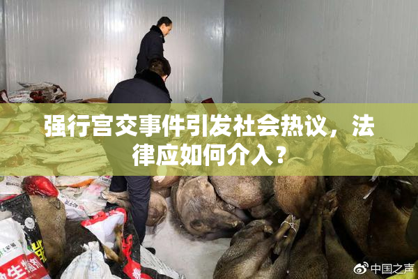 强行宫交事件引发社会热议，法律应如何介入？