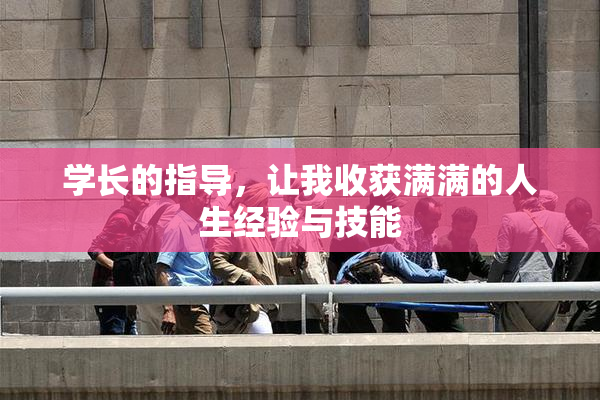 学长的指导，让我收获满满的人生经验与技能