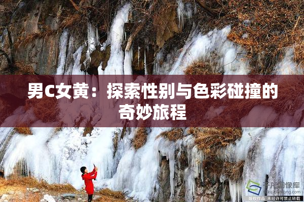 男C女黄：探索性别与色彩碰撞的奇妙旅程