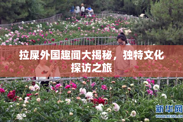 拉屎外国趣闻大揭秘，独特文化探访之旅