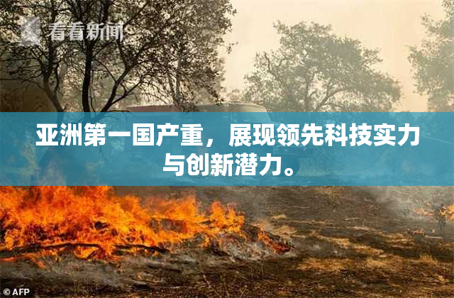 亚洲第一国产重，展现领先科技实力与创新潜力。