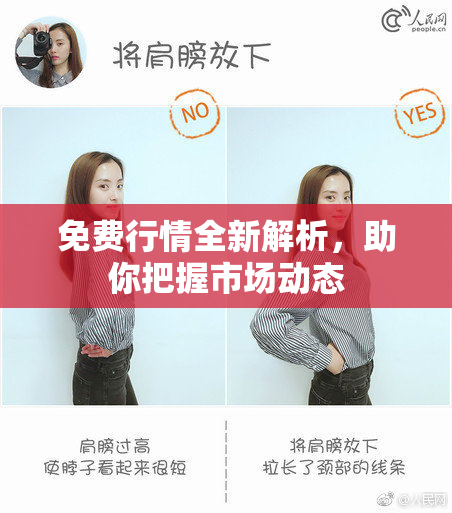 免费行情全新解析，助你把握市场动态