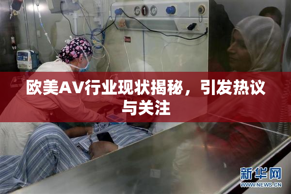 欧美AV行业现状揭秘，引发热议与关注