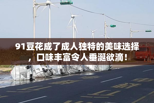 91豆花成了成人独特的美味选择，口味丰富令人垂涎欲滴！