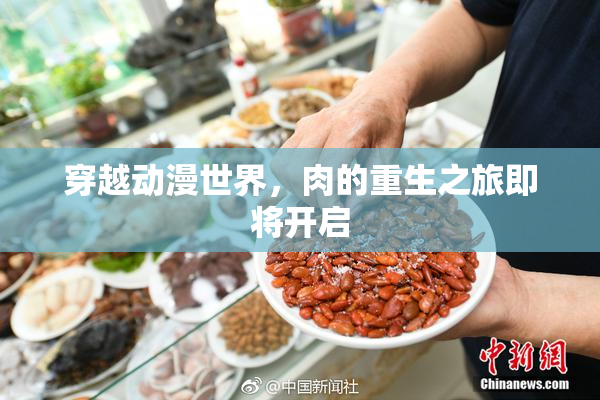 穿越动漫世界，肉的重生之旅即将开启