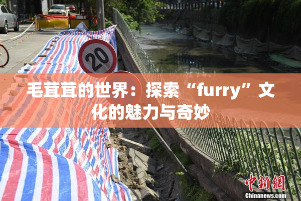 毛茸茸的世界：探索“furry”文化的魅力与奇妙