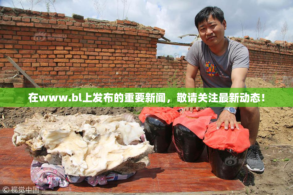 在www.bl上发布的重要新闻，敬请关注最新动态！