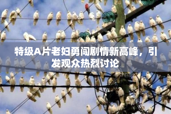 特级A片老妇勇闯剧情新高峰，引发观众热烈讨论